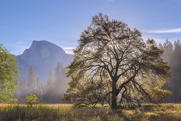 Half Dome from Cooks Meadow in Yosemite National Park, California, USA. Autumn