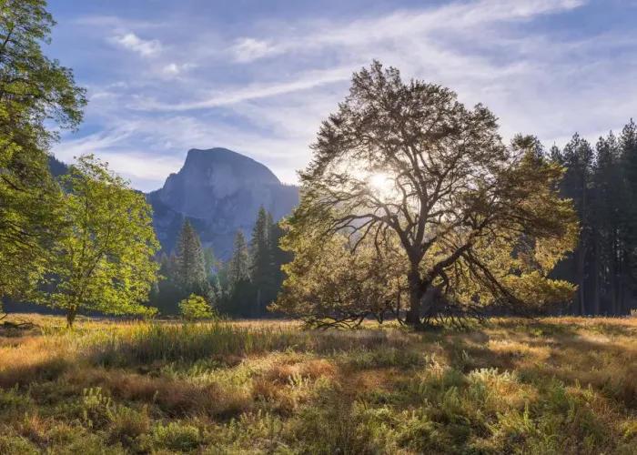 Framed Print : Half Dome from Cooks Meadow, Yosemite Valley, California, USA. Autumn (October) 2015 Framed Print : Half Dome from Cooks Meadow, Yosemite Valley, California, USA. Autumn (October) 2015