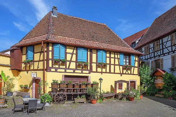 Half-timbered houses at Eguisheim, Haut-Rhin, Alsace, Alsace-Champagne-Ardenne-Lorraine, Grand Est, France