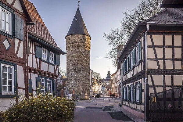 Half-timbered houses and witch tower in the old town of Bad Homburg vor der Hoehe, Taunus, Hesse, Germany