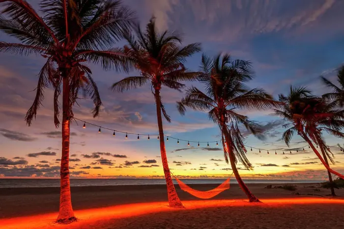 Framed Print : Hammock Between Palm Trees at Sunset, Captiva Island, Florida, USA Framed Print : Hammock Between Palm Trees at Sunset, Captiva Island, Florida, USA