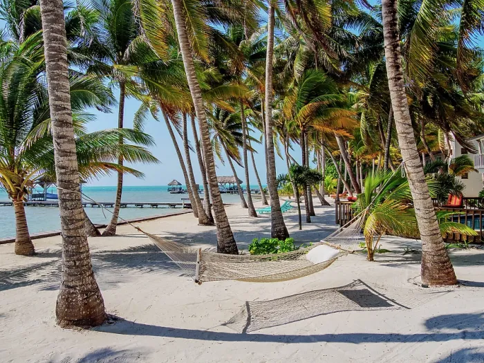 Framed Print : Hammock at the waterfront of San Pedro Town, Ambergris Caye, Belize District, Belize Framed Print : Hammock at the waterfront of San Pedro Town, Ambergris Caye, Belize District, Belize