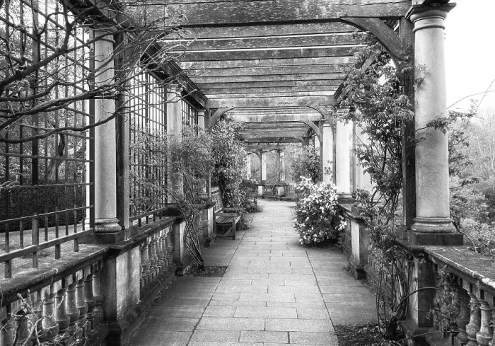 Framed Print : Hampstead Pergola, London, England Framed Print : Hampstead Pergola, London, England