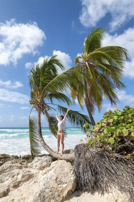 Framed Print : Happy woman on the curved palm tree, Dover Beach, Oistins, Barbados Island Framed Print : Happy woman on the curved palm tree, Dover Beach, Oistins, Barbados Island