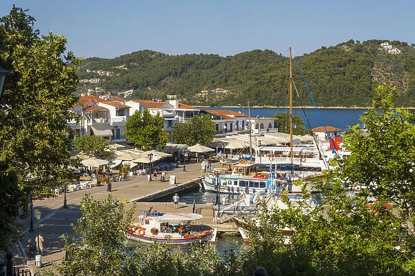 Harbour at Skiathos Town, Skiathos, Sporade Islands, Greece