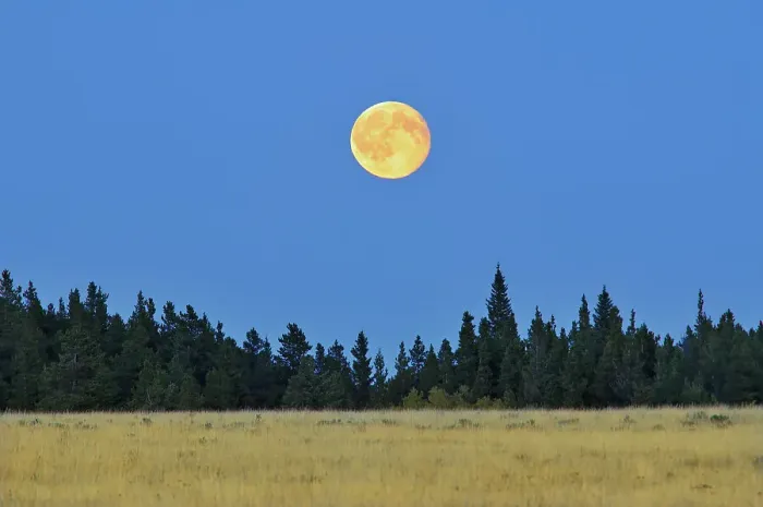 Framed Print : Harvest moon on the prairie Cypress Hills Provincial Park Saskatchewan, Canada Framed Print : Harvest moon on the prairie Cypress Hills Provincial Park Saskatchewan, Canada