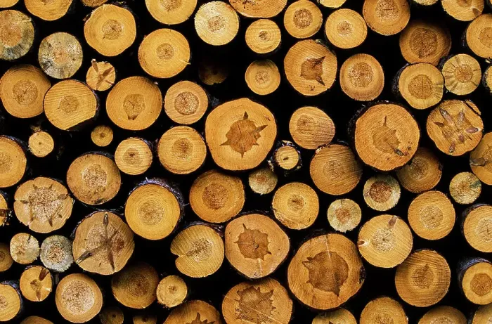 Framed Print : Harvested Logs, Bradford, Ontario, Canada