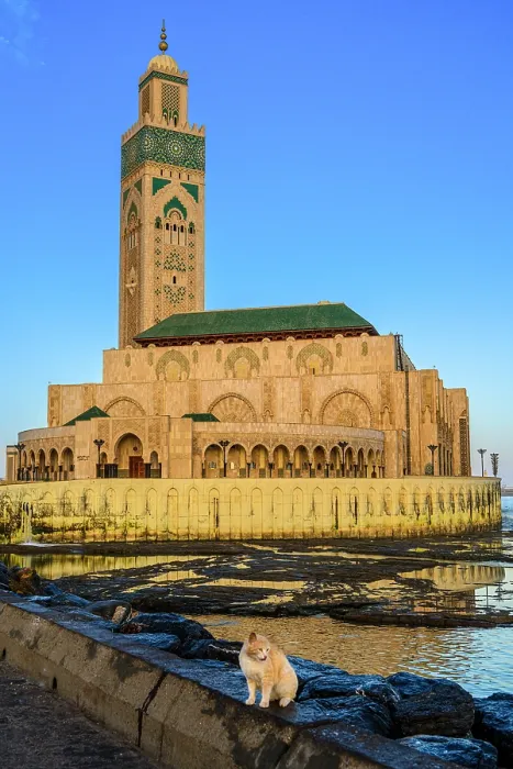 Framed Print : Hassan II mosque at dawn, Casablanca, Casablanca-Settat, Morocco Framed Print : Hassan II mosque at dawn, Casablanca, Casablanca-Settat, Morocco