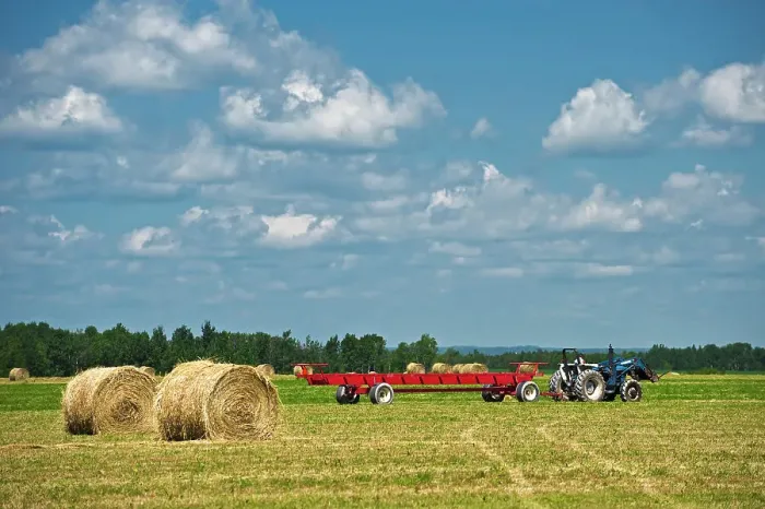 Framed Print : hauling bales New Liskeard, Ontario, Canada Framed Print : hauling bales New Liskeard, Ontario, Canada