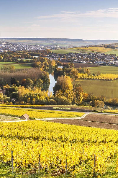 Hautvilliers, Marne valley, Champagne Ardenne, France