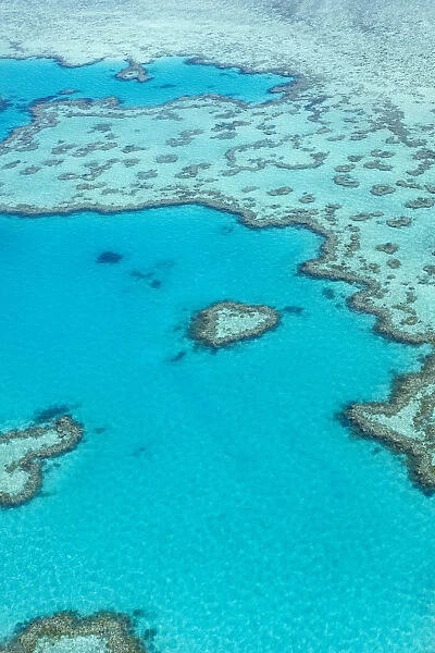 Heart reef in the Great Barrier Reef from above, Queensland, Australia