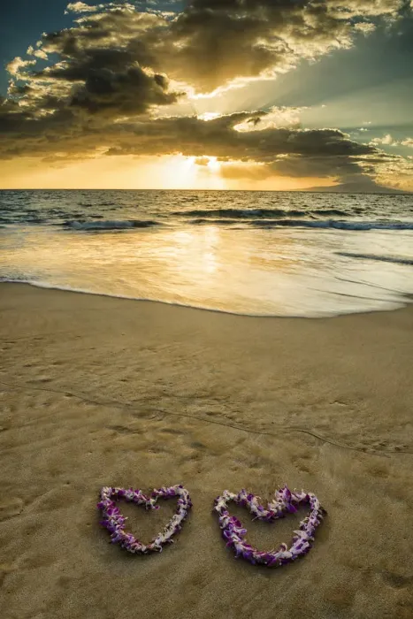 Framed Print : Heart-shaped Leis at Sunset, Wailea Beach, Maui, Hawaii, USA Framed Print : Heart-shaped Leis at Sunset, Wailea Beach, Maui, Hawaii, USA