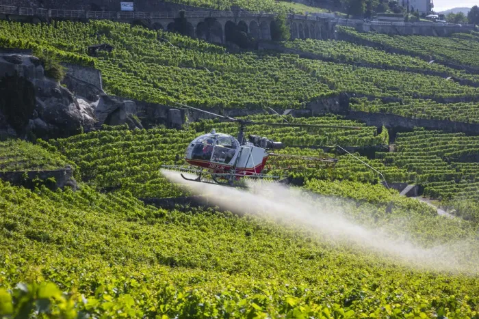 Framed Print : Helicopter spraying vines, Vineyards above Vevey, Lake Geneva, Vaud, Switzerland Framed Print : Helicopter spraying vines, Vineyards above Vevey, Lake Geneva, Vaud, Switzerland