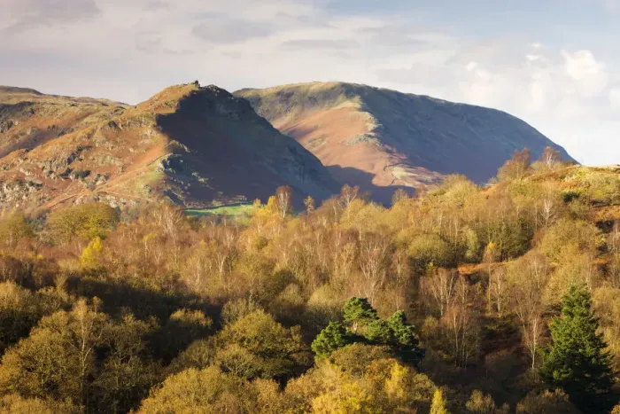Framed Print : Helm Crag and Steel Fell mountains behind autumnal woodland, Grasmere, Lake District Framed Print : Helm Crag and Steel Fell mountains behind autumnal woodland, Grasmere, Lake District