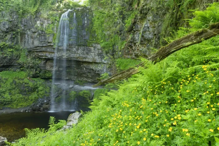 Framed Print : Henrhyd Falls, Brecon Beacons National Park, Powys, Wales
