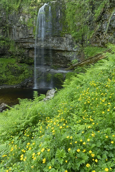 Henrhyd Falls, Brecon Beacons National Park, Powys, Wales
