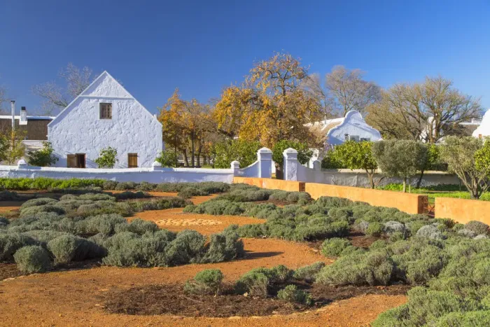 Framed Print : Herb garden at Babylonstoren Wine Estate, Paarl, Western Cape, South Africa Framed Print : Herb garden at Babylonstoren Wine Estate, Paarl, Western Cape, South Africa