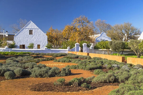 Herb garden at Babylonstoren Wine Estate, Paarl, Western Cape, South Africa