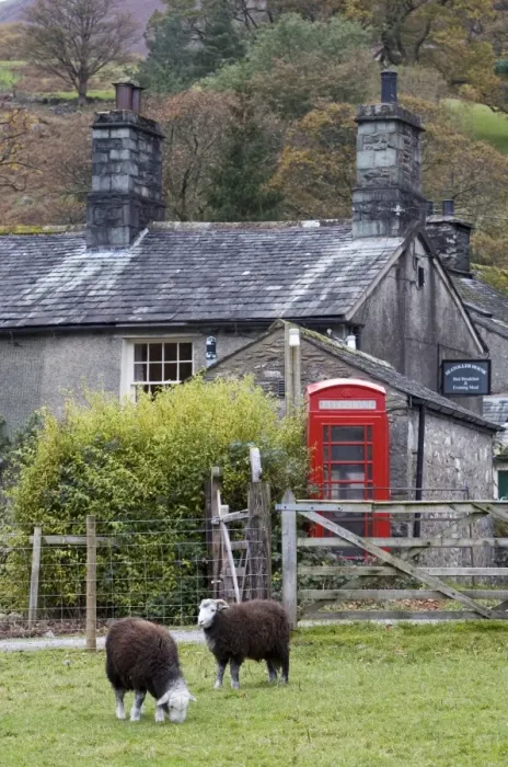 Framed Print : Herdwick Sheep & Cottage Framed Print : Herdwick Sheep & Cottage