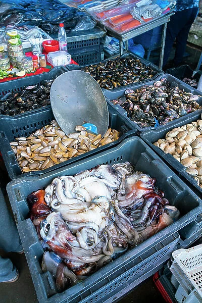 High angle view of crates with various fresh sea food for sale at market, Caleta Portales, Valparaiso, Valparaiso Province, Valparaiso Region, Chile