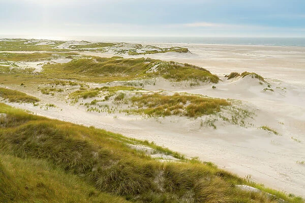 High angle view of sand dune landscape and beach near Norddorf, UNESCO, Amrum island, Nordfriesland, Schleswig-Holstein, Germany