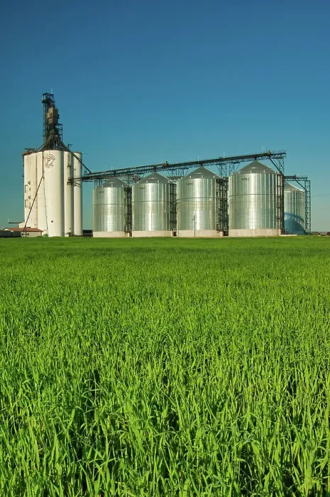 Framed Print : high through put grain elevator (Paterson Grain). and immature grain crop Morris, Manitoba, Canada Framed Print : high through put grain elevator (Paterson Grain). and immature grain crop Morris, Manitoba, Canada