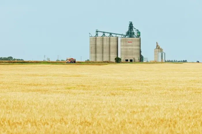 Framed Print : High throughput grain elevators (terminals) and grain crop Vulcan, Alberta, Canada Framed Print : High throughput grain elevators (terminals) and grain crop Vulcan, Alberta, Canada