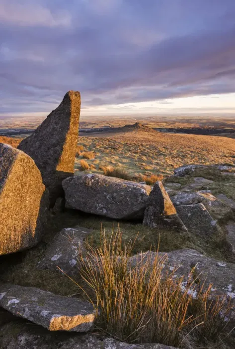 Framed Print : Higher Tor on Belstone Ridge on a winter morning, Dartmoor, Devon, England Framed Print : Higher Tor on Belstone Ridge on a winter morning, Dartmoor, Devon, England