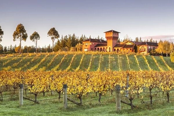 Highfield estate winery and vineyards, Waihopai Valley, Blenheim, Marlborough, South Island