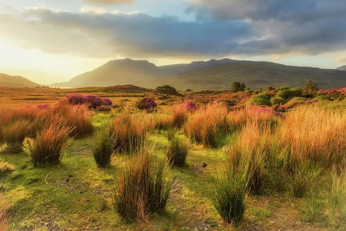 Framed Print : Highlands of Connemara, Connemara Loop, Connemara National Park, County Galway, Connacht province, Inagh Valley, Ireland, Europe