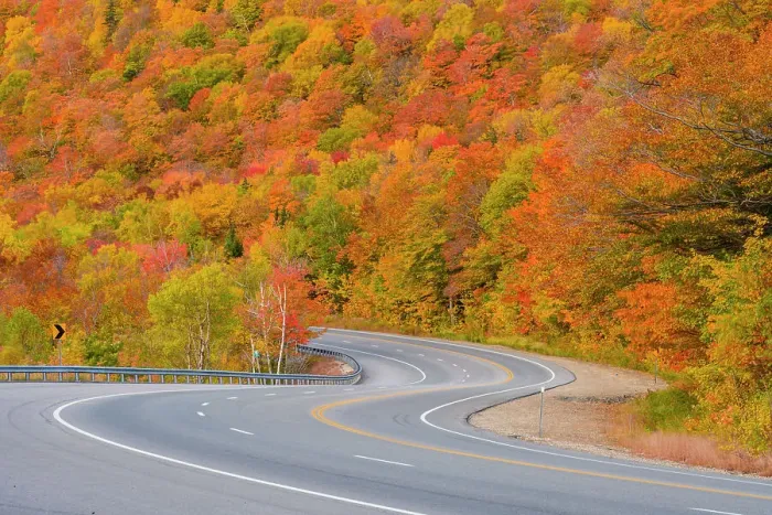 Framed Print : Highway 16 in autumn, Pinkham Notch, New Hampshire, USA Framed Print : Highway 16 in autumn, Pinkham Notch, New Hampshire, USA