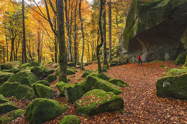 Hiker looks at the big rock of Bagni di Masino forest in Autumn time, Val Masino