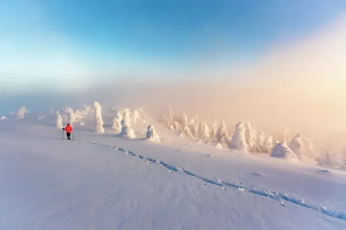 Framed Print : Hiker snowshoeing in deep snow in the winter scenery of Finnish Lapland at dawn Framed Print : Hiker snowshoeing in deep snow in the winter scenery of Finnish Lapland at dawn