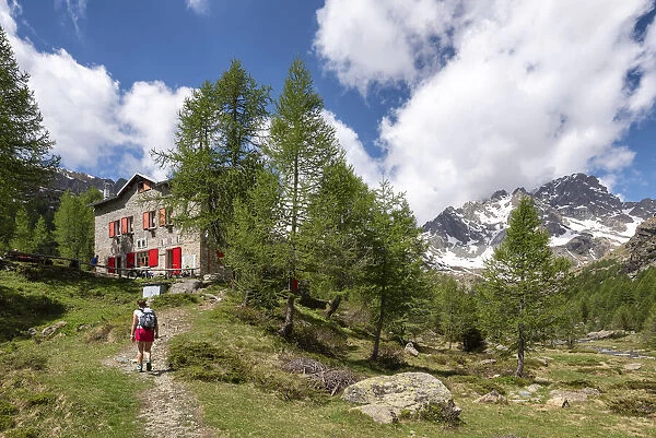 Hiker walking to Bosio hut in Valmalenco during summer, Valtellina, Sondrio Province
