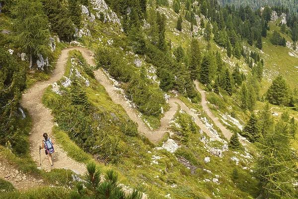Hiker walks on the track of Castellazzo mount, Rolle Pass, Trento province, Trentino