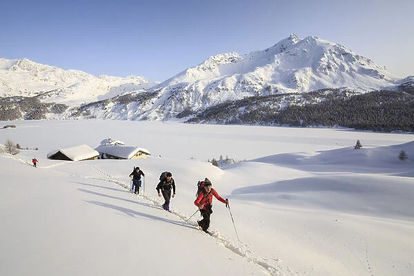 Hikers on snowshoes, Spluga, Maloja Pass. Engadine. Switzerland. Europe