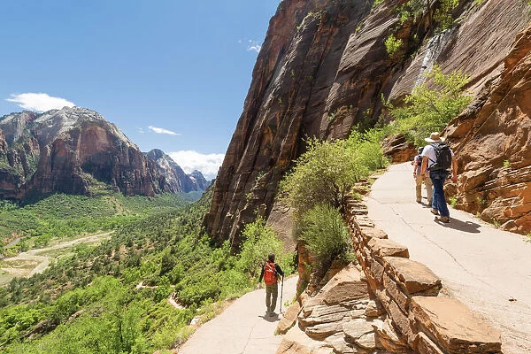Hikers on the trail to Angels Landing Zion National Park, Utah, USA