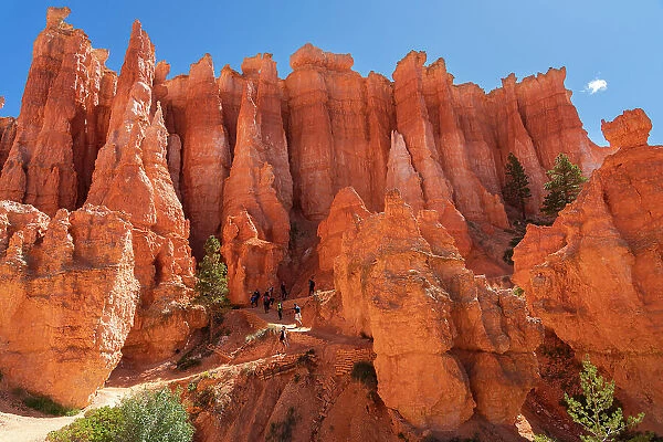 Hikers walking on a trail among hoodoos on Queens Garden Trail inside Bryce Canyon, Bryce Canyon National Park, Utah, USA