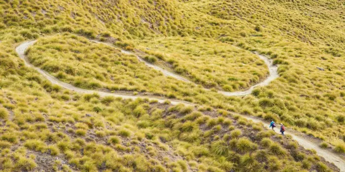 Framed Print : HIkers on Winding Trail, New Zealand Framed Print : HIkers on Winding Trail, New Zealand