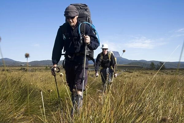 Hiking through the buttongrass plains on the Overland Track