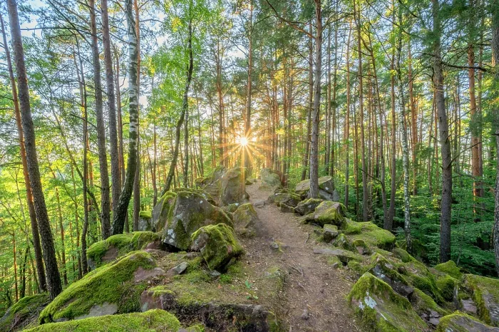 Framed Print : Hiking path near Busenberg near Dahn in the evening light, Dahn, Palatinate Forest, Wasgau, Dahner Felsenland, Rhineland-Palatinate, Germany