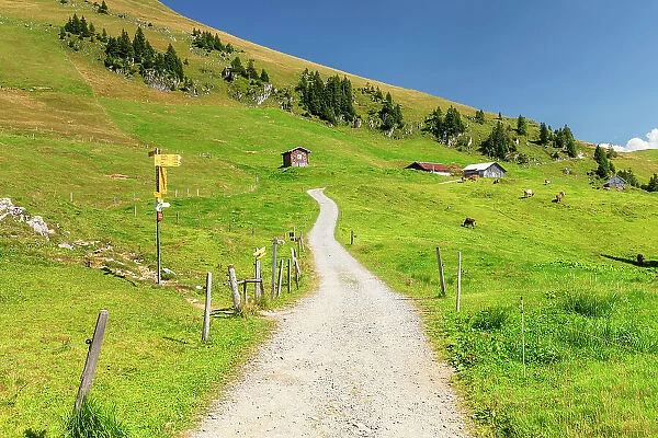 Hiking path to Niederbauen Mountain top (1923m), Lake Lucerne, Canton Uri, Switzerland