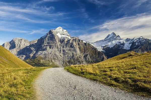Hiking Path with Wetterhorn & Schreckhorn, Grindelwald, Bernese Oberland, Switzerland