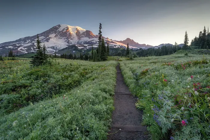 Framed Print : Hiking Trail with Mt. Rainier in the background, Mt. Rainier National Park, Washington State, USA Framed Print : Hiking Trail with Mt. Rainier in the background, Mt. Rainier National Park, Washington State, USA