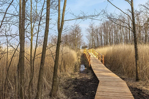 Hiking trail in the national park, Western Pomerania Lagoon Area