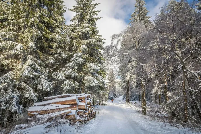 Framed Print : Hiking trail in the winter forest at Kahler Asten near Winterberg, Sauerland, North Rhine-Westphalia, Germany Framed Print : Hiking trail in the winter forest at Kahler Asten near Winterberg, Sauerland, North Rhine-Westphalia, Germany