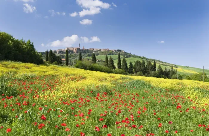 Framed Print : Hill town Pienza and field of poppies, Tuscany, Italy Framed Print : Hill town Pienza and field of poppies, Tuscany, Italy