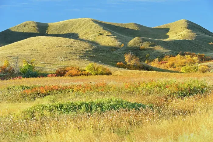 Framed Print : Hills in autumn Saskatchewan Landing Provincial Park Saskatchewan, Canada