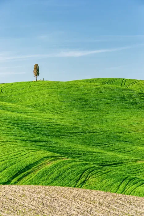 Framed Print : hills of val d'orcia, val d'orcia, pienza, siena, Tuscany, italy Framed Print : hills of val d'orcia, val d'orcia, pienza, siena, Tuscany, italy
