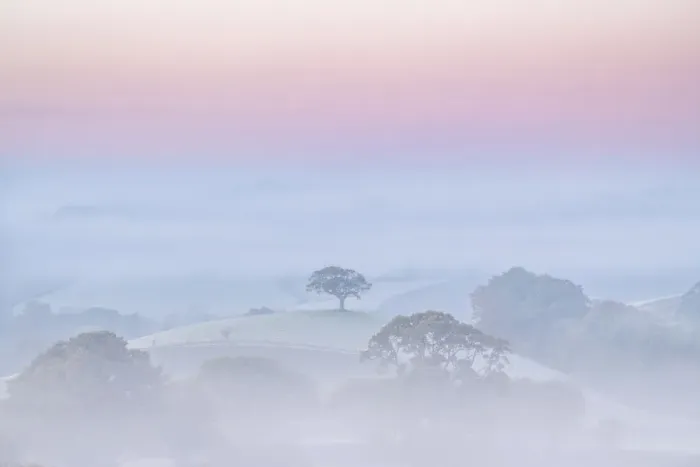 Framed Print : Hilltop tree at dawn on a misty morning, Devon, England. Autumn (November) 2020 Framed Print : Hilltop tree at dawn on a misty morning, Devon, England. Autumn (November) 2020